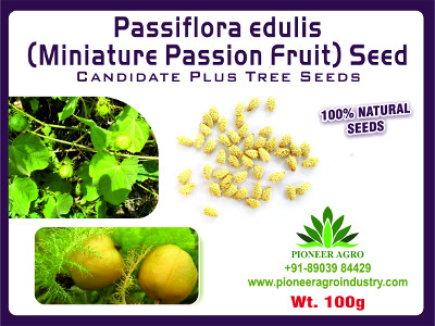 Passiflora Seed