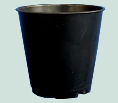 black round small pot.jpg