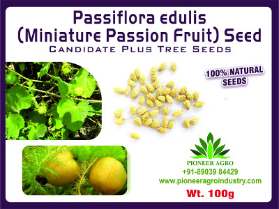 Passiflora Seed