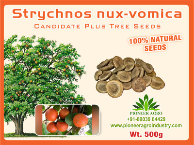 Strychnos nux-vomica