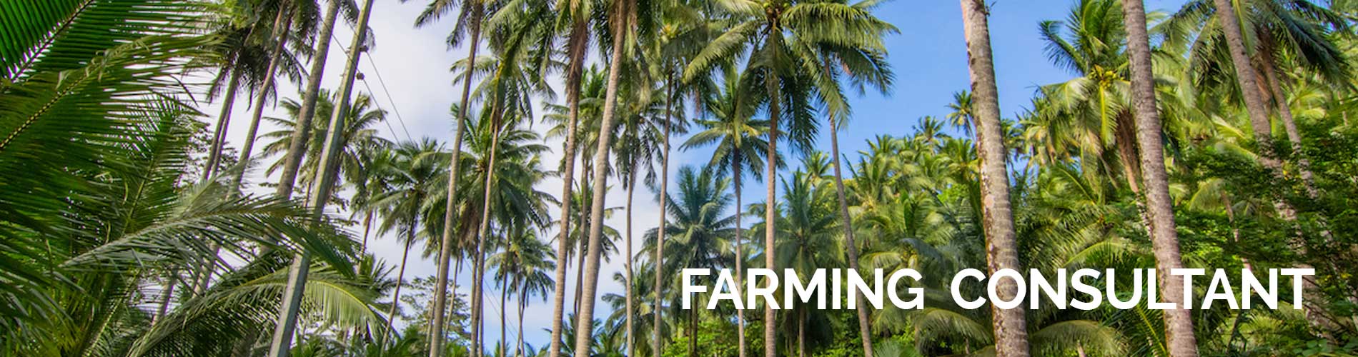 farming-consultancy