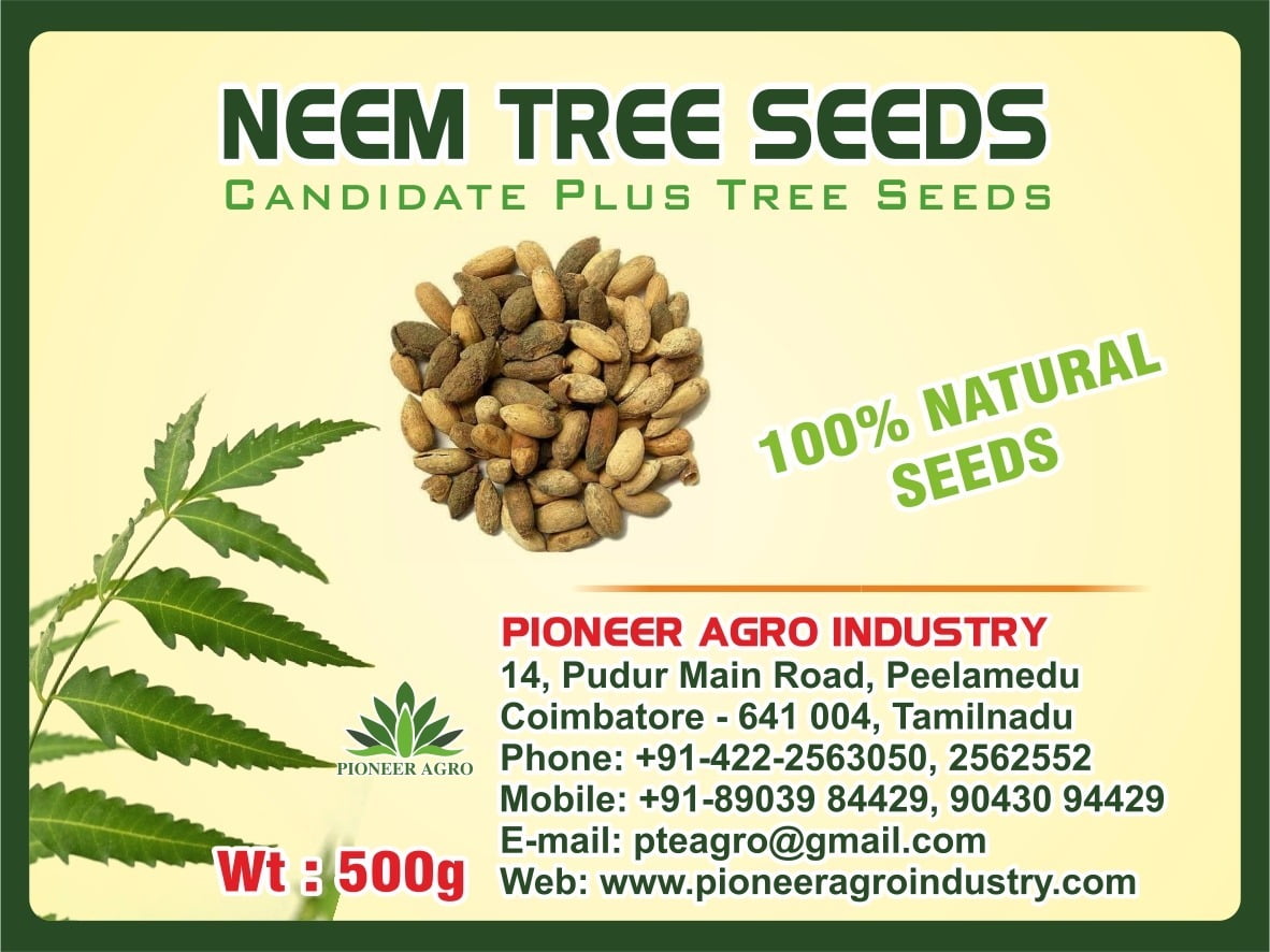Vembu / Neem Tree Seed 1 Kg Pack - வேம்பு / வேப்ப மரம் விதைகள்