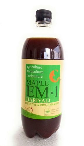 Maple EM.1 Hariyali