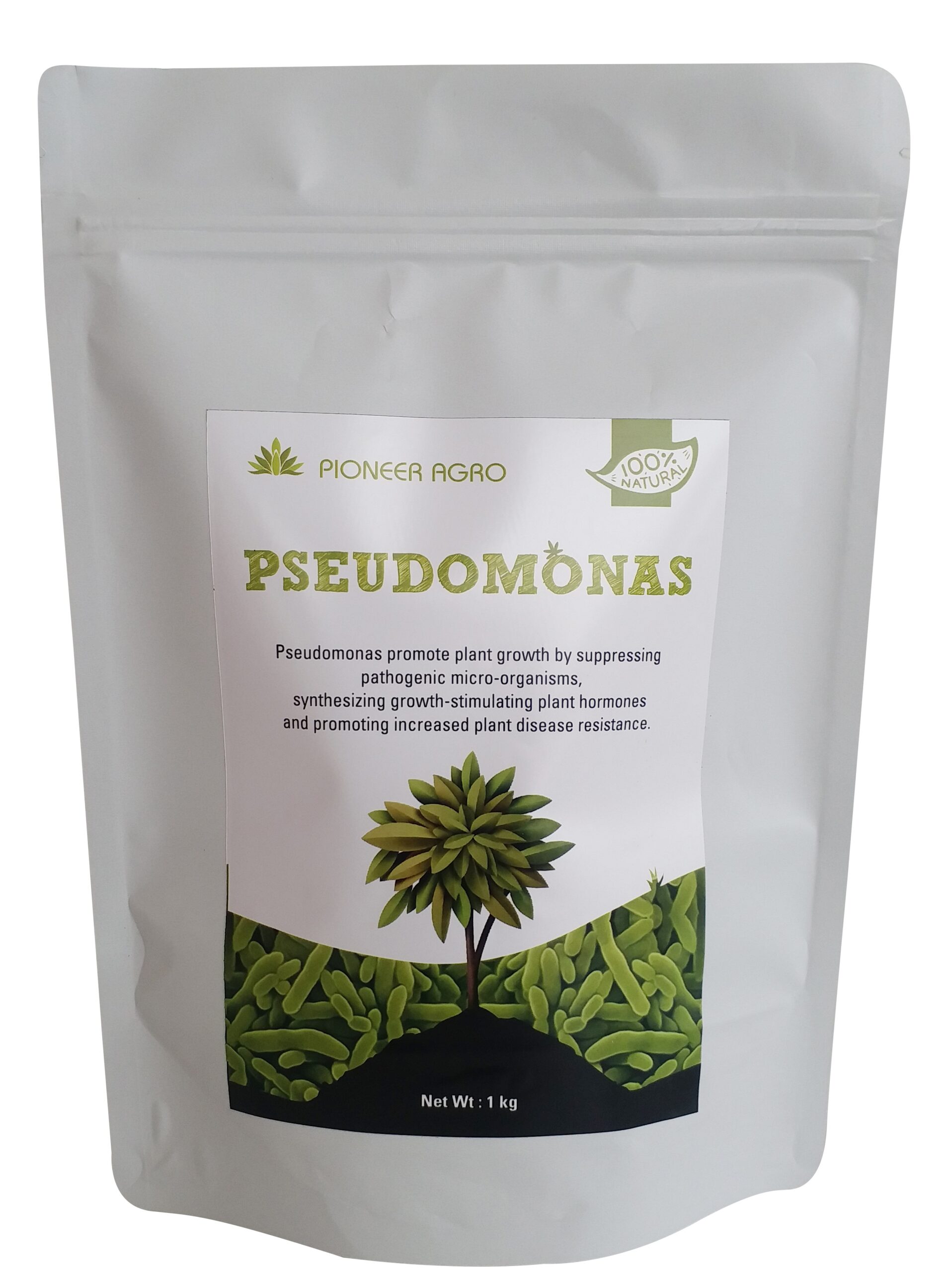 Pseudomonas