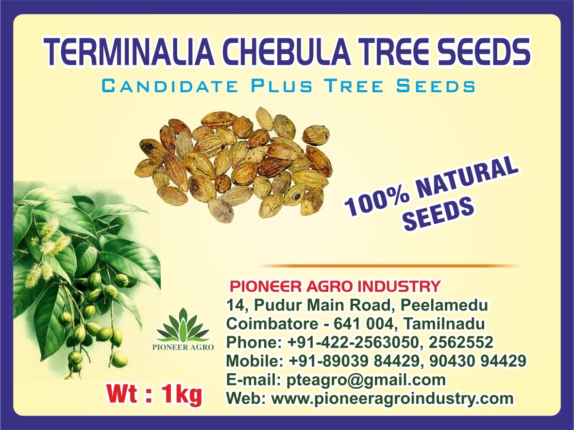 Terminalia Chebula Seeds, Kadukkai Maram Seeds
