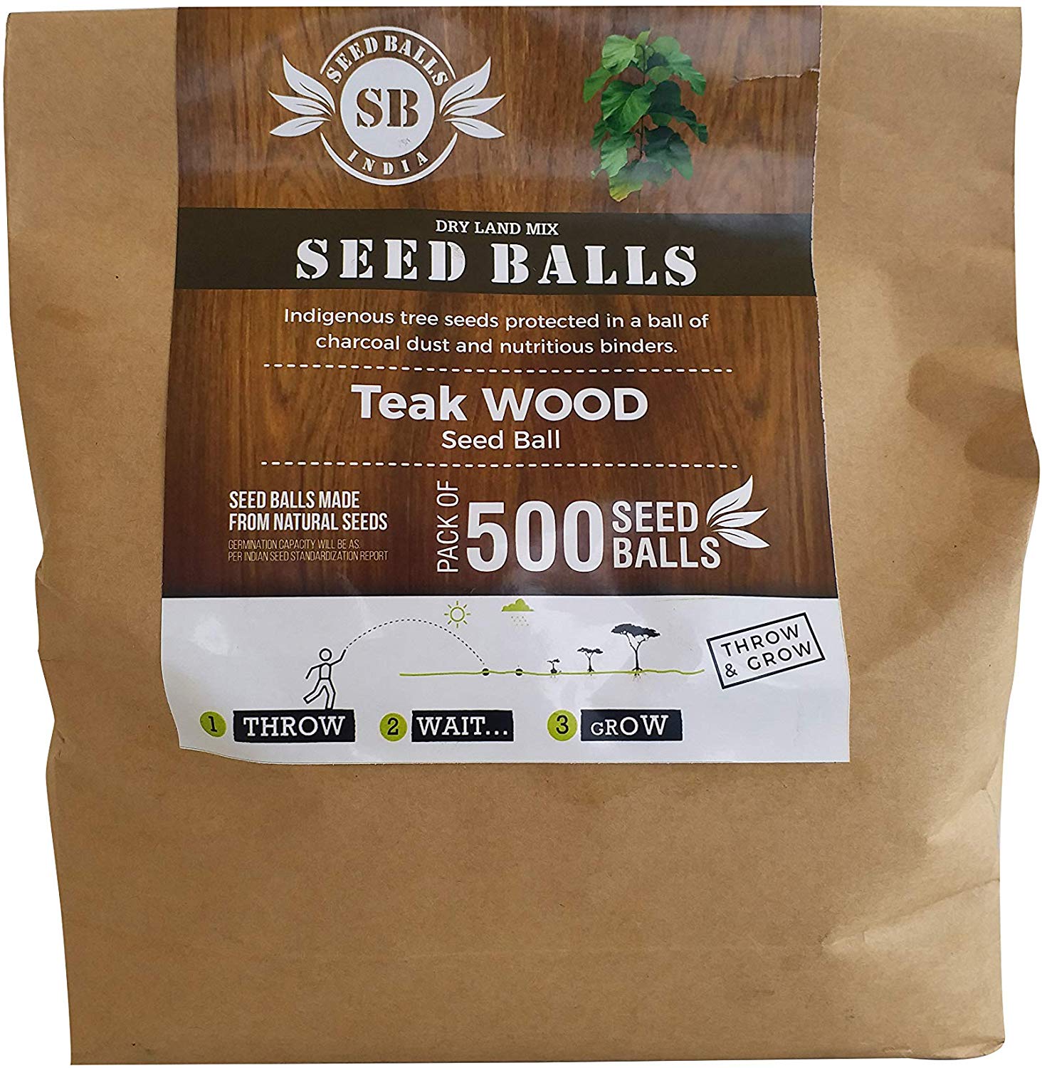 Teak Wood Tree Seed Balls