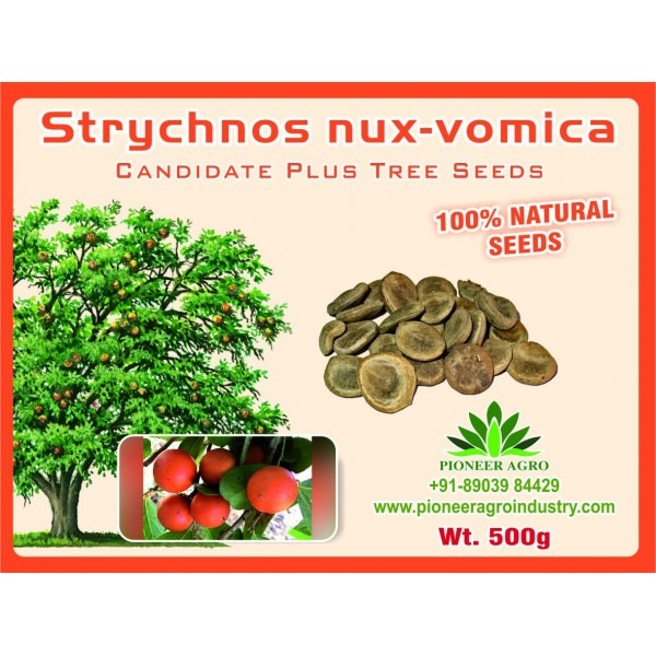 Strychnos Nux-Vomica Seeds, Etti Maram Seeds