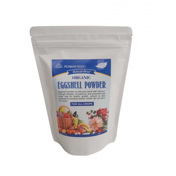 Egg shell Powder