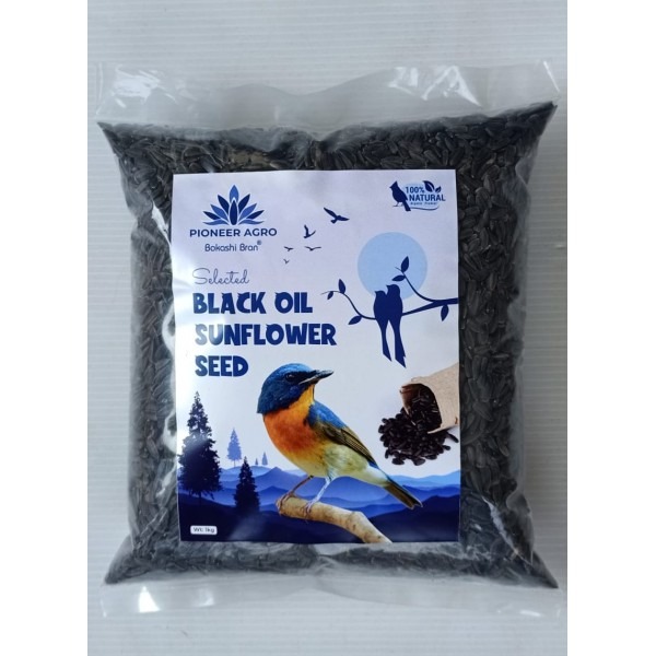 Black Oil Sunflower Seeds for Cultivation