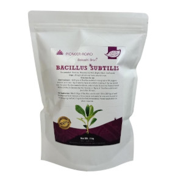 Bacillus Subtilis Powder