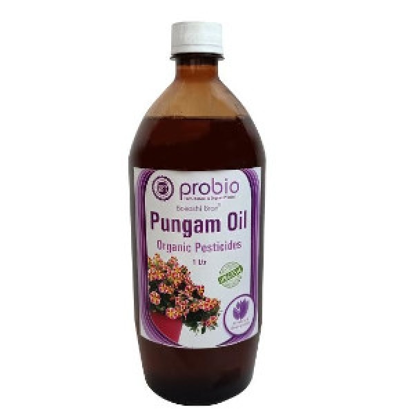 Pungam Oil