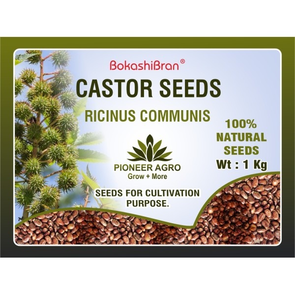 Castor Seeds