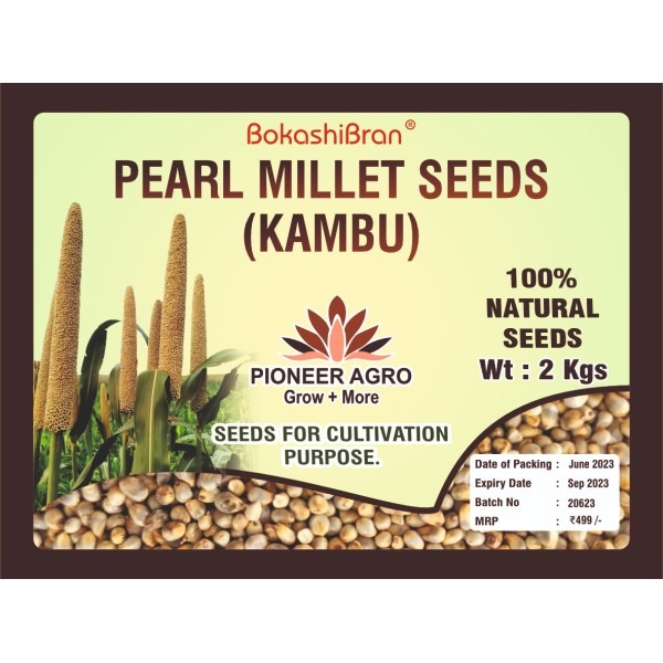 Pearl Millet Seeds, Kambu Seeds