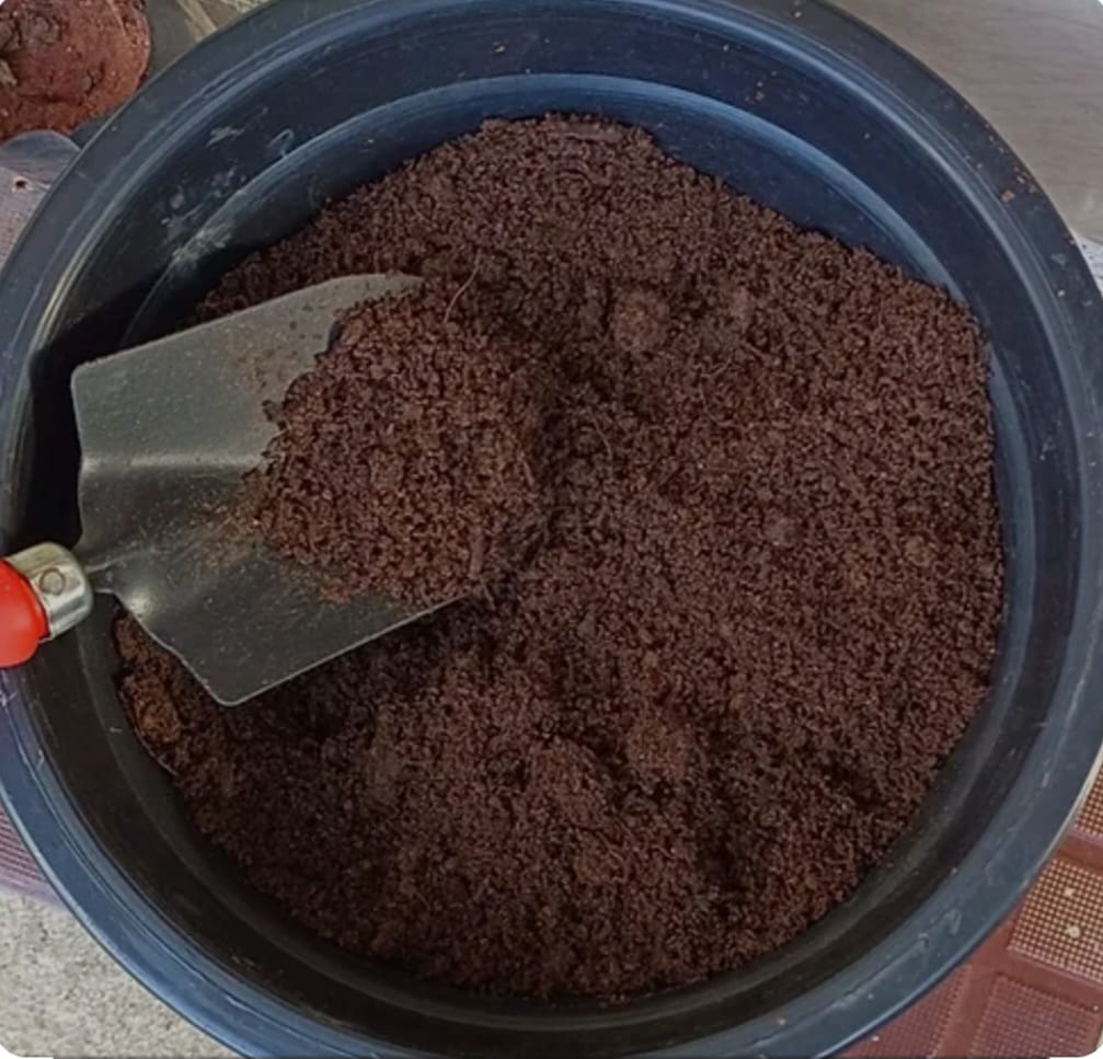 Grade B Potting Mix Soil for Plants, Pioneer Agro