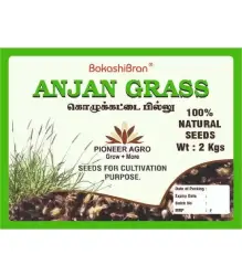 Anjan grass Cenchrus ciliaris கொழுக்கட்டை பில்லு 1kg (1)
