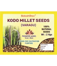 Kodo Millet