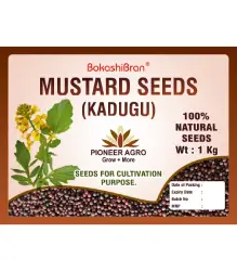 Mustard seeds kadugu