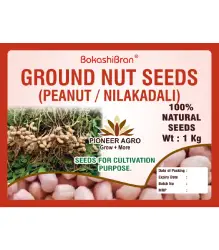 ground nut seeds peanut nilakadali