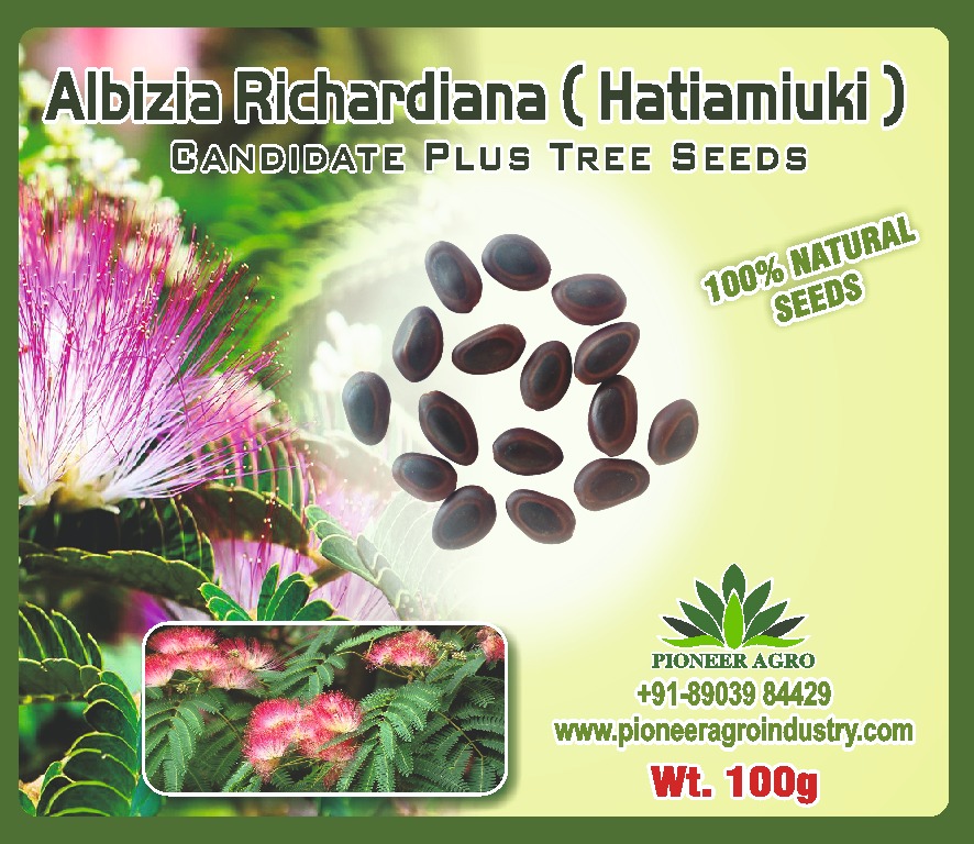Albizia Richar