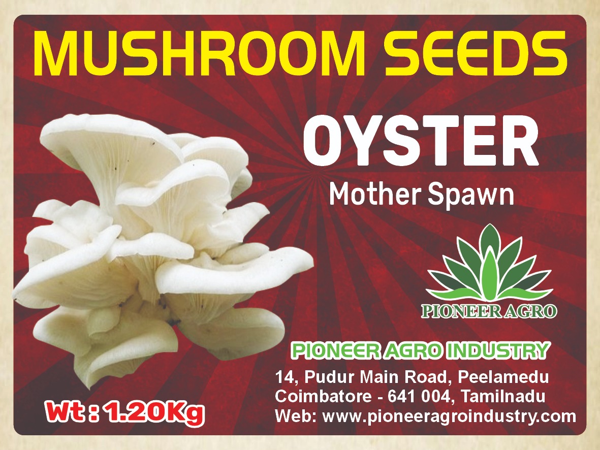 Mushroom Oyster seeds