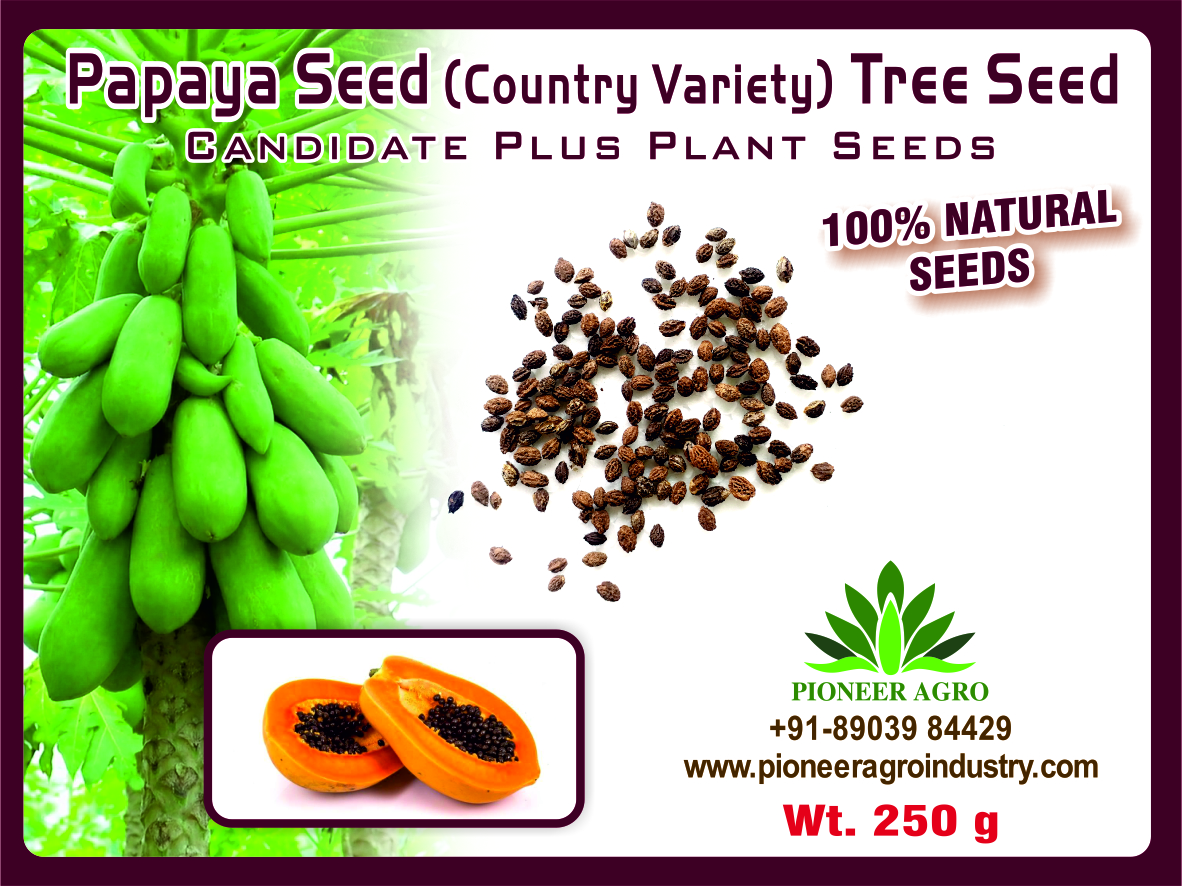 Papaya seeds