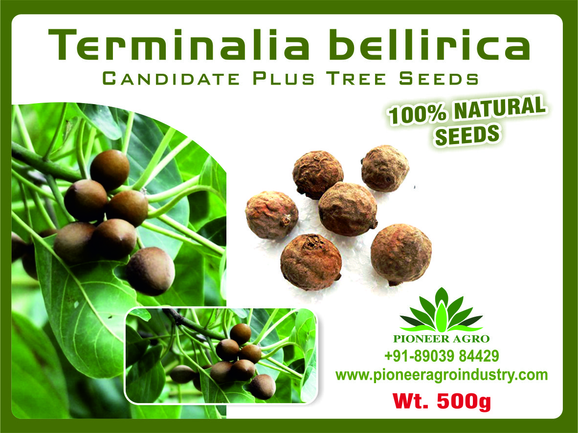 Terminalia Bellrica
