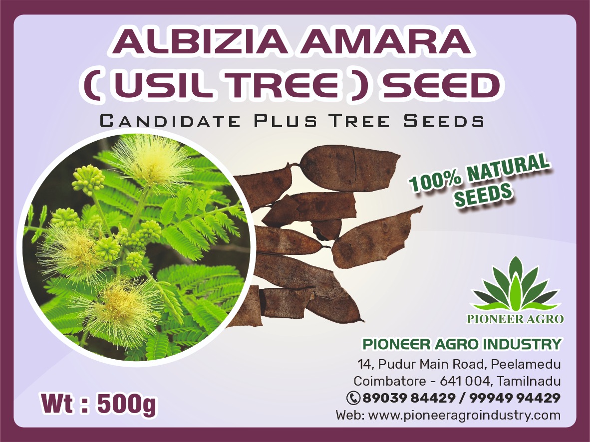 Albizia Amara Usil
