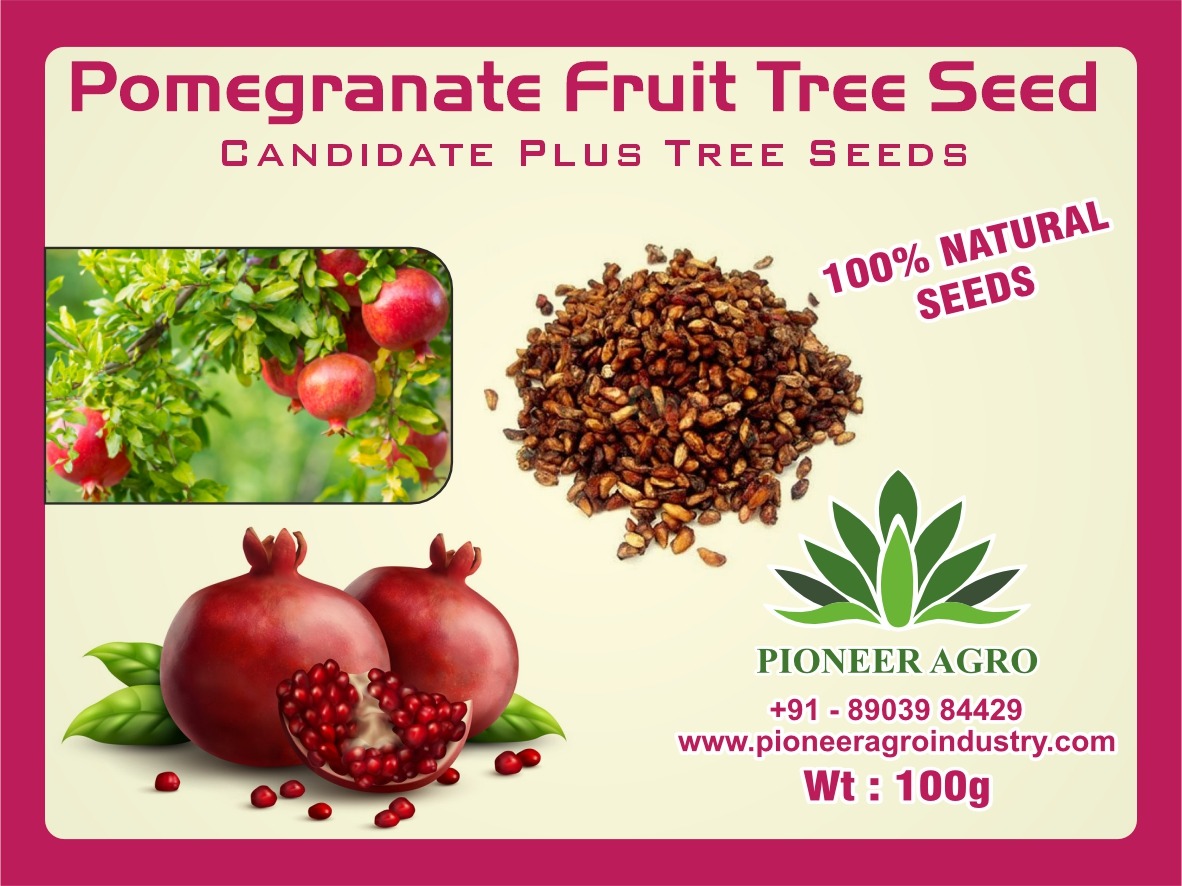 Pomagrnate Seeds