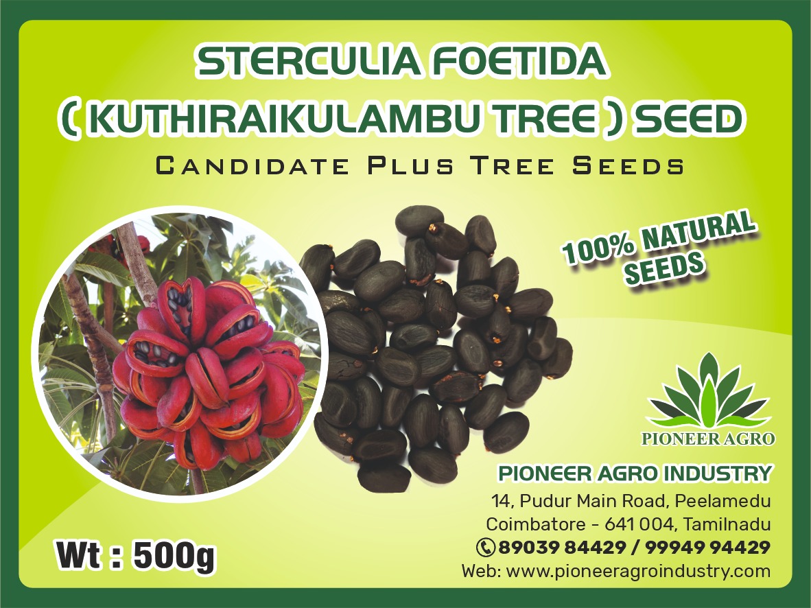 Sterculia Foetida Kuthiraikulambu)