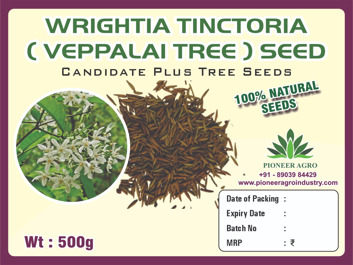 Wrightia tinctoria (Veppalai)